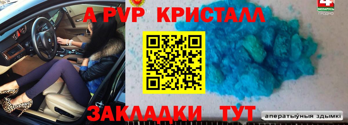 где купить   Городец  А ПВП мука  Alpha-PVP кристаллы 