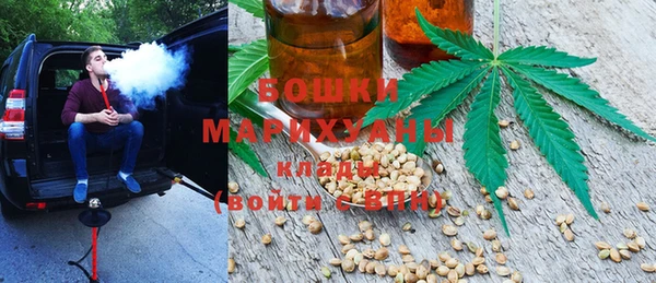 ПСИЛОЦИБИНОВЫЕ ГРИБЫ Дмитров