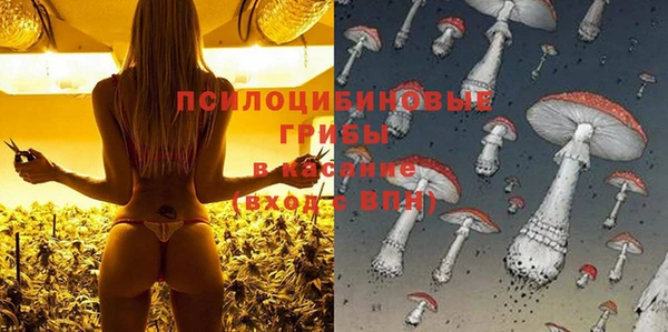 мдма Дмитриев