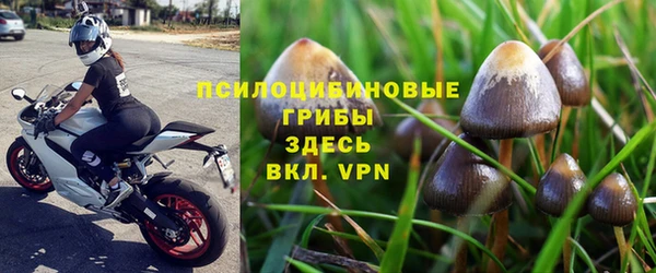 таблы Дмитровск