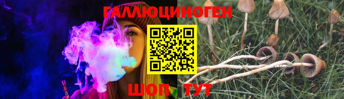 Галлюциногенные грибы GOLDEN TEACHER  Городец 